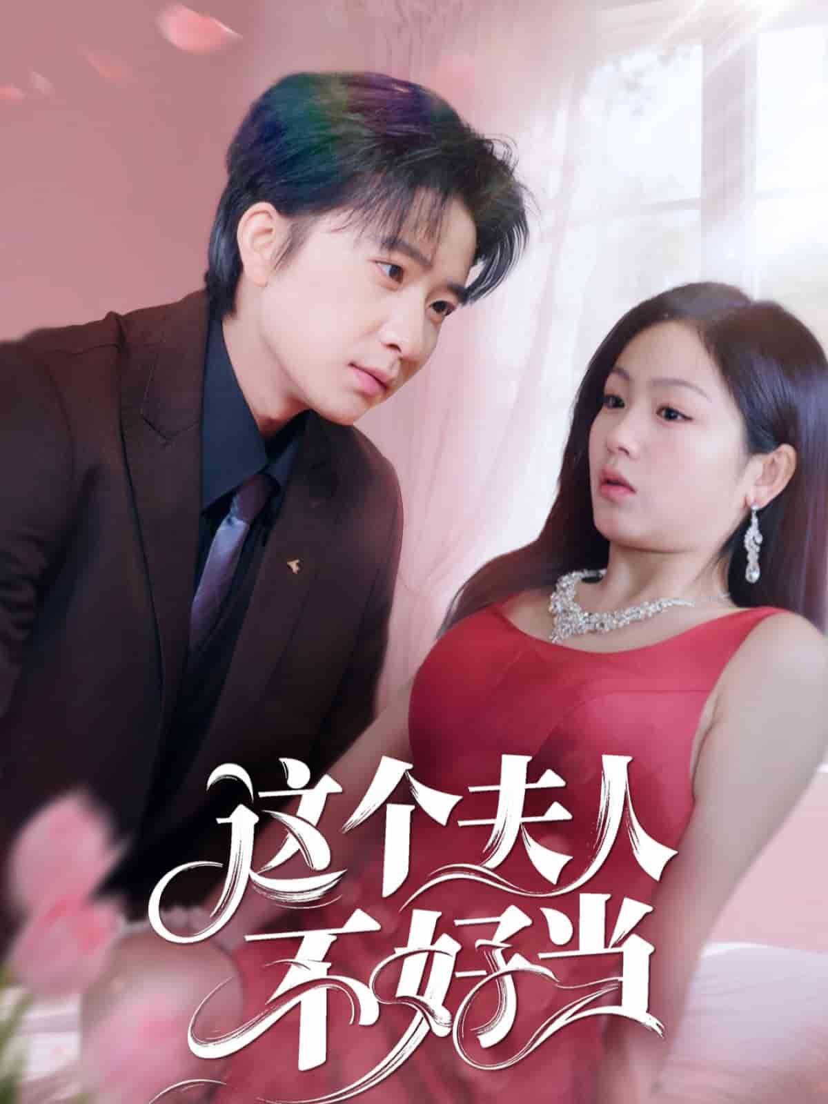 这个夫人不好当全集