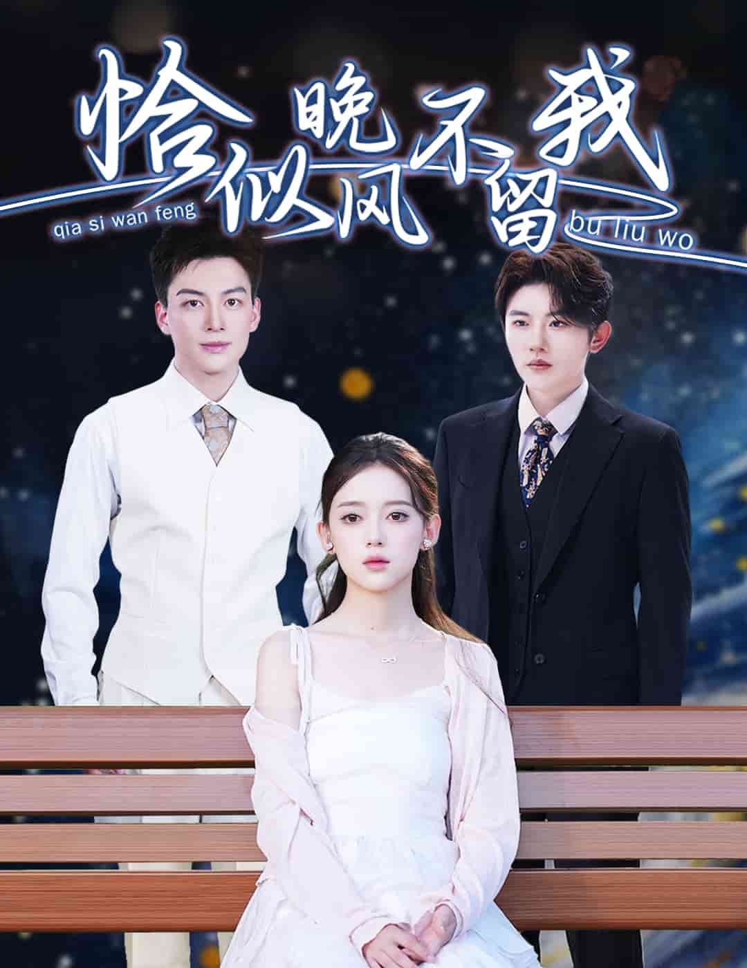 恰似晚风不留我全集