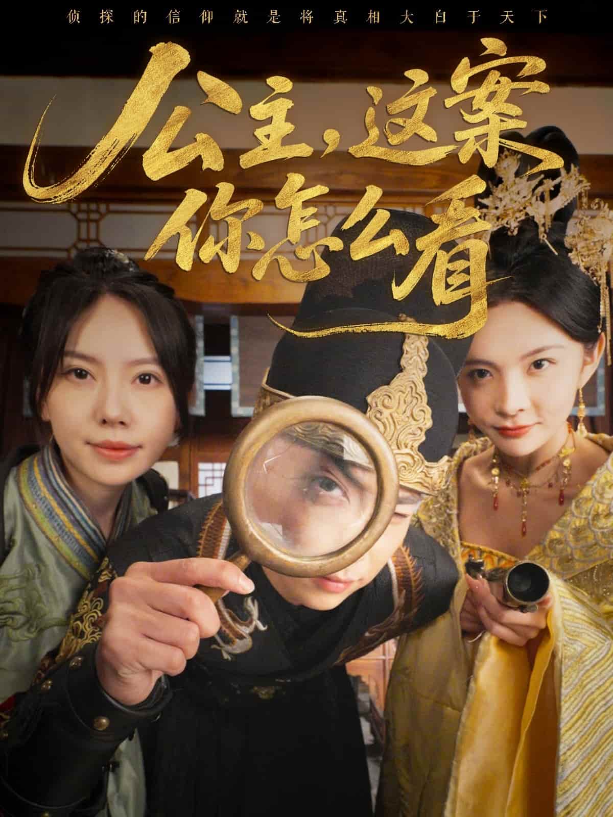 公主，这案你怎么看全集