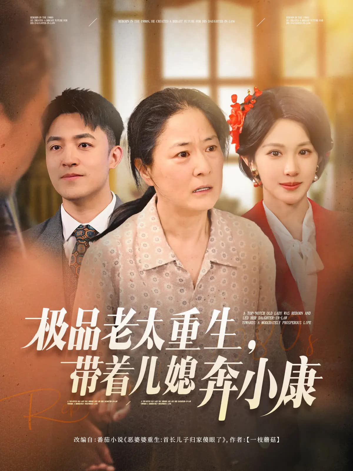 极品老太重生带着儿媳奔小康全集