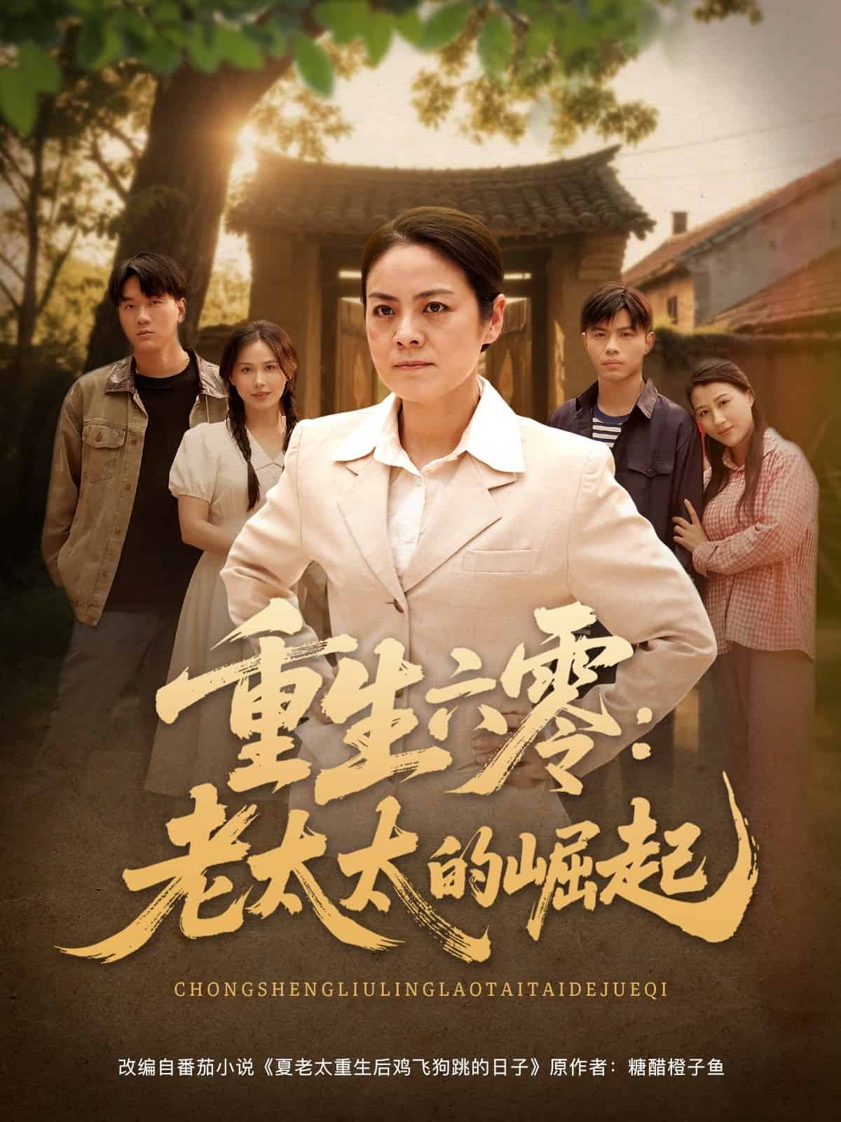 重生六零：老太太的崛起全集