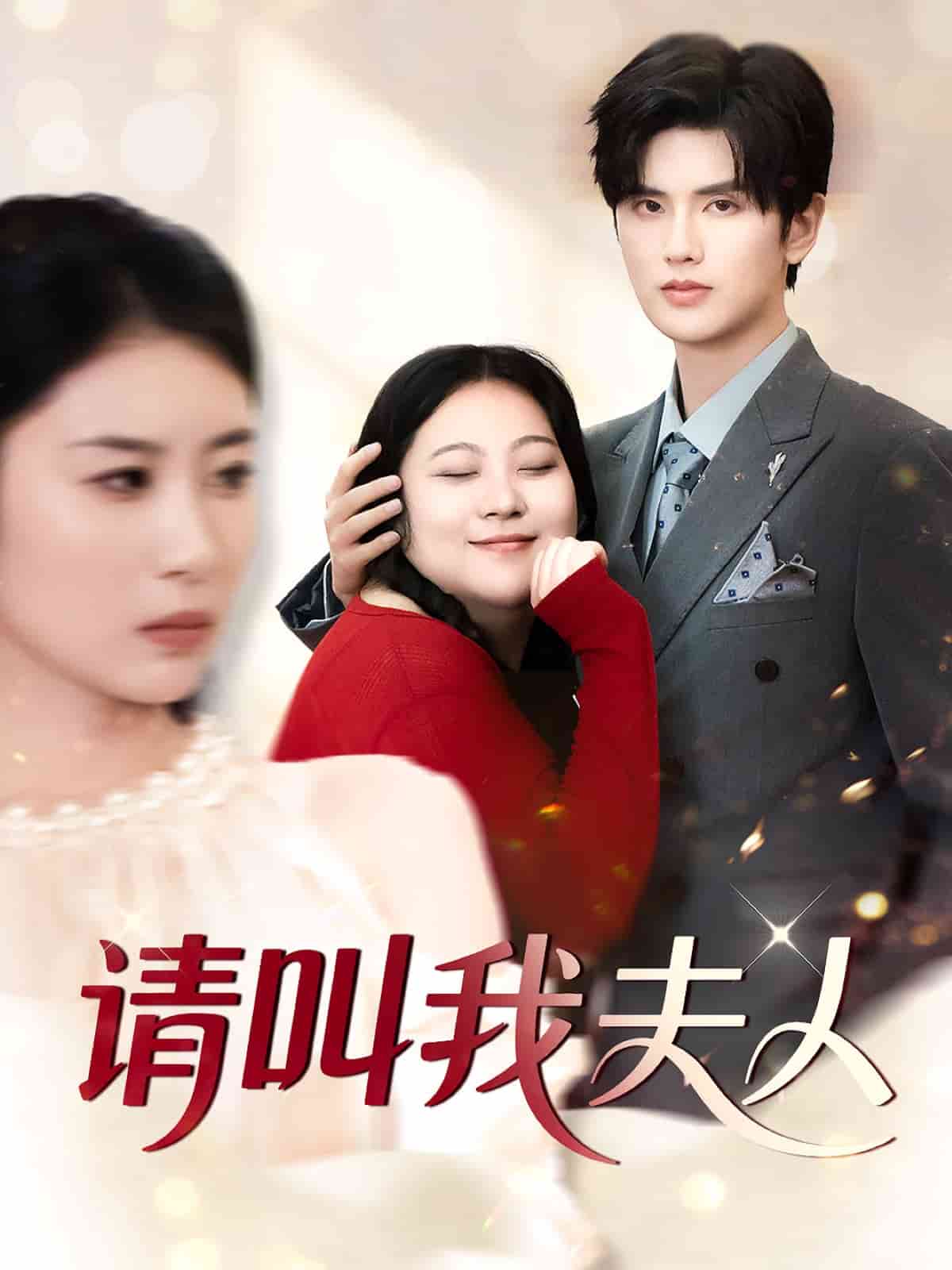 请叫我夫人全集