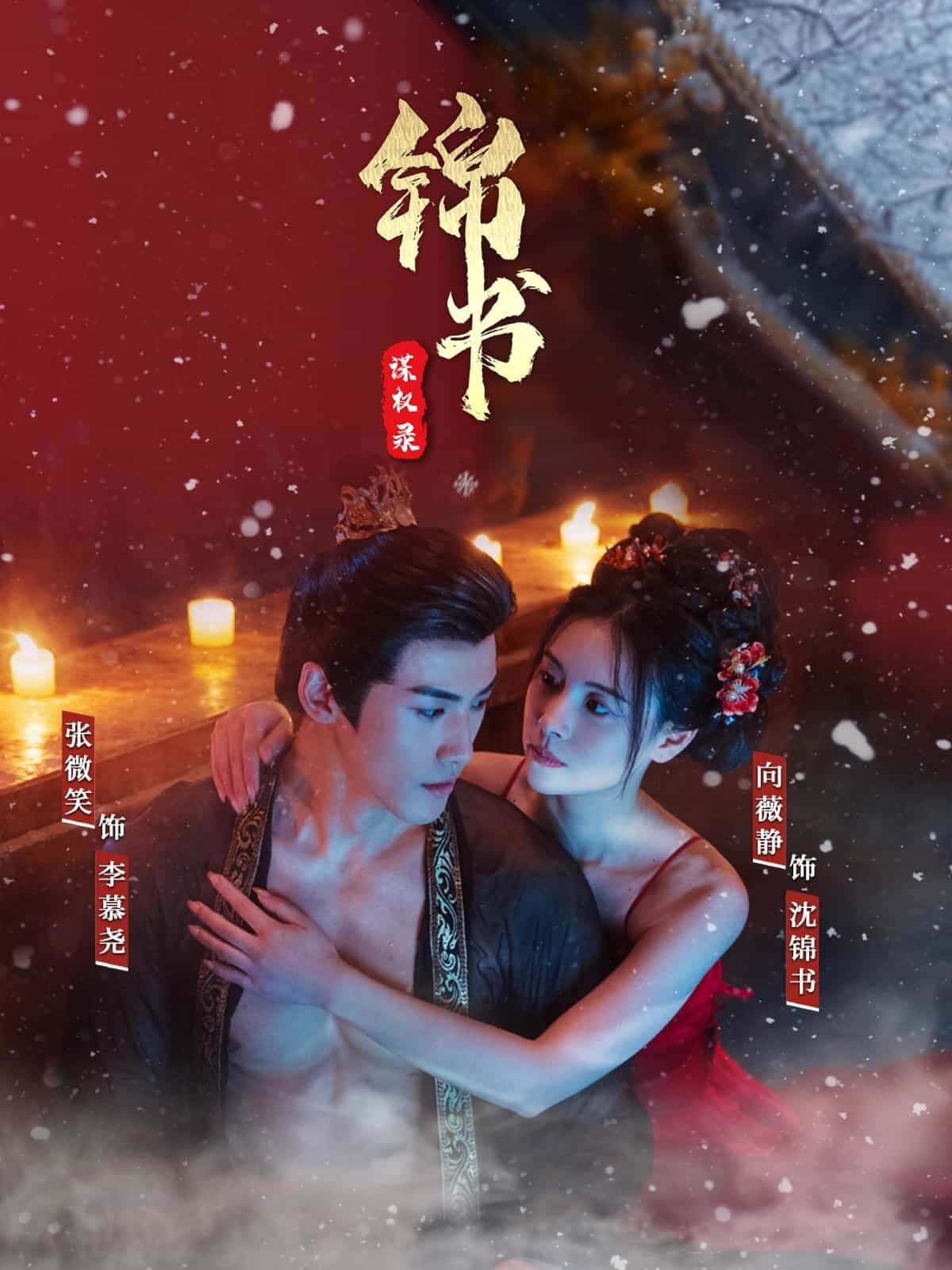 锦书谋权录全集