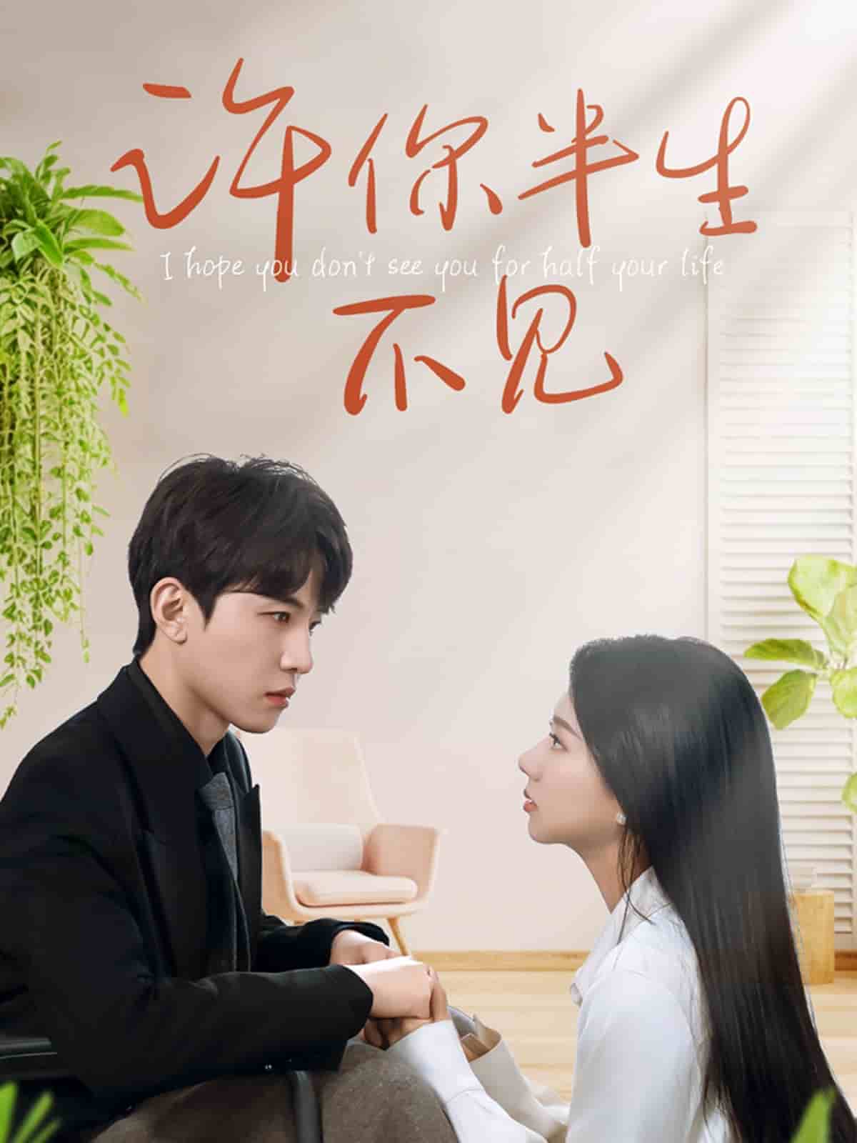 许你半生不见全集