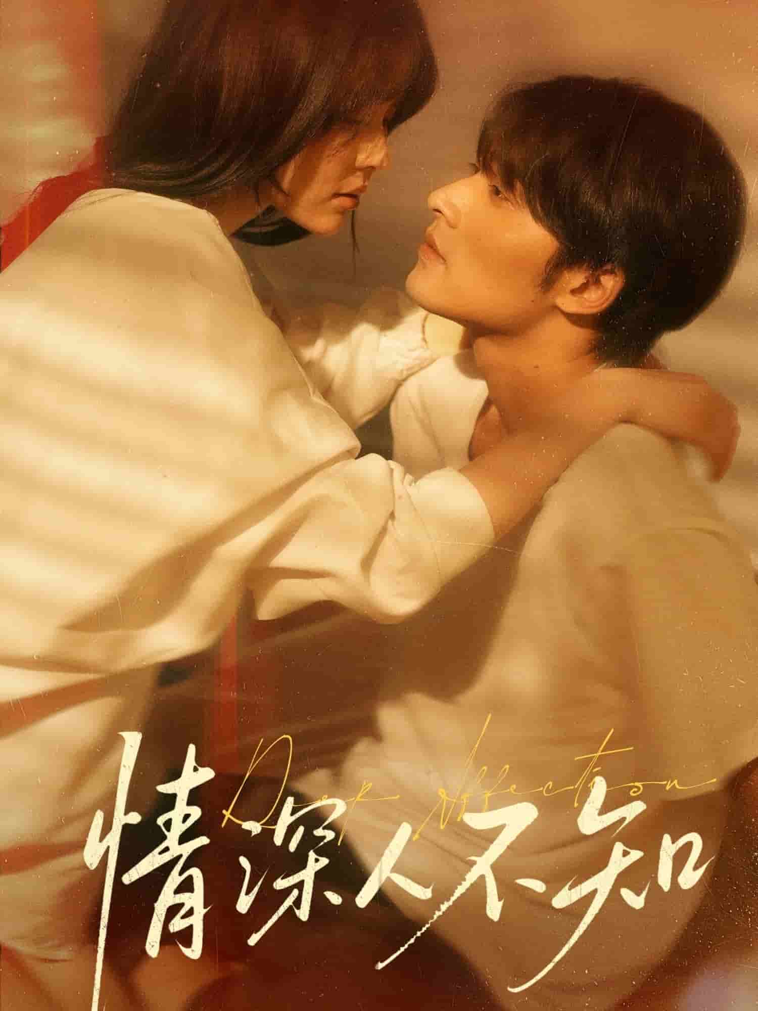 情深人不知全集