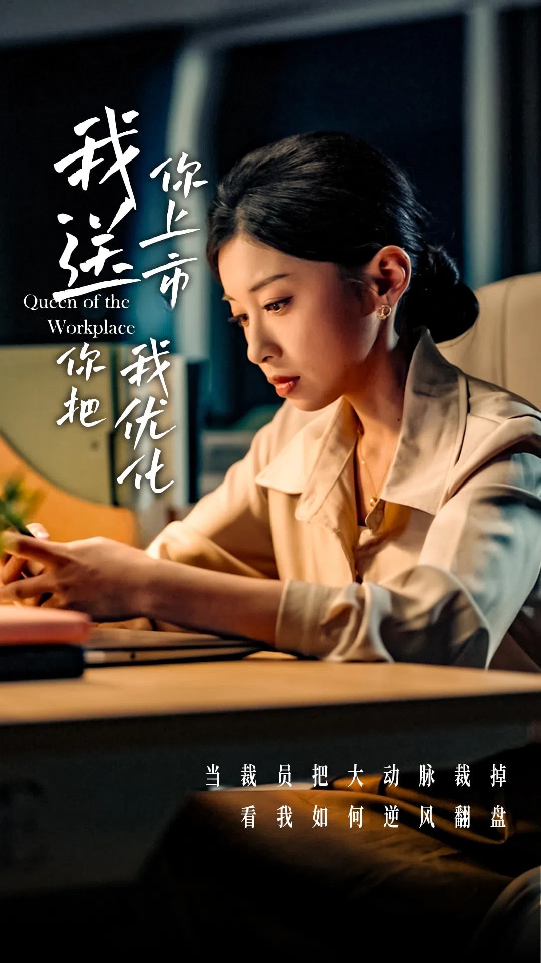 我送你上市你把我优化全集