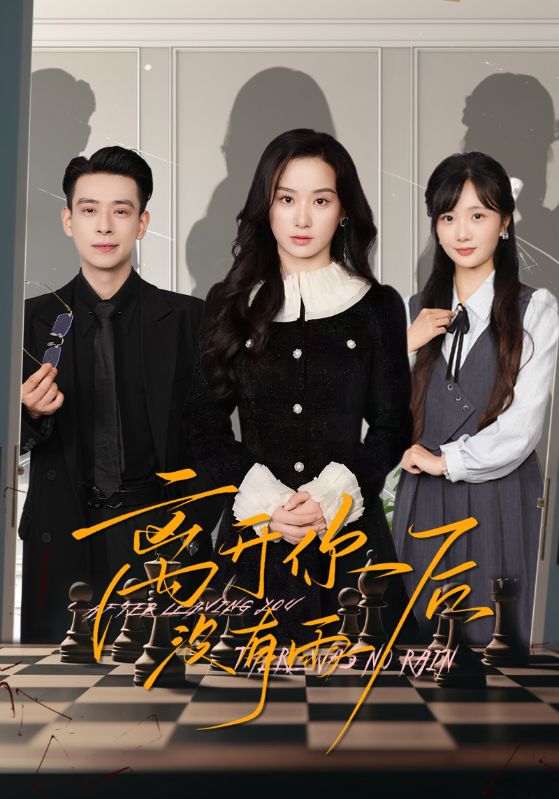 离开你后没有雨全集