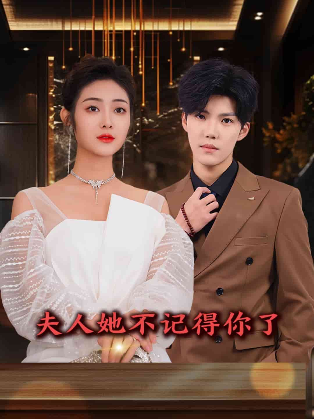 夫人她不记得你了全集