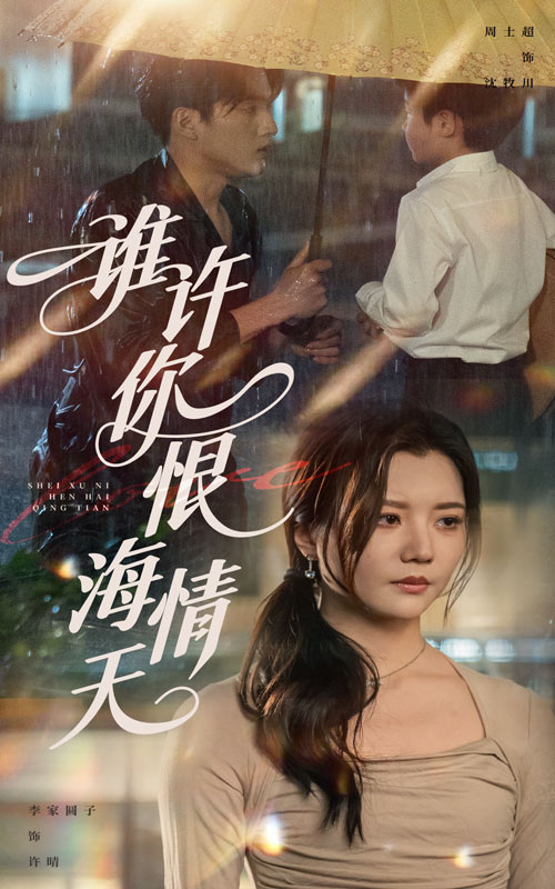 谁许你恨海情天全集