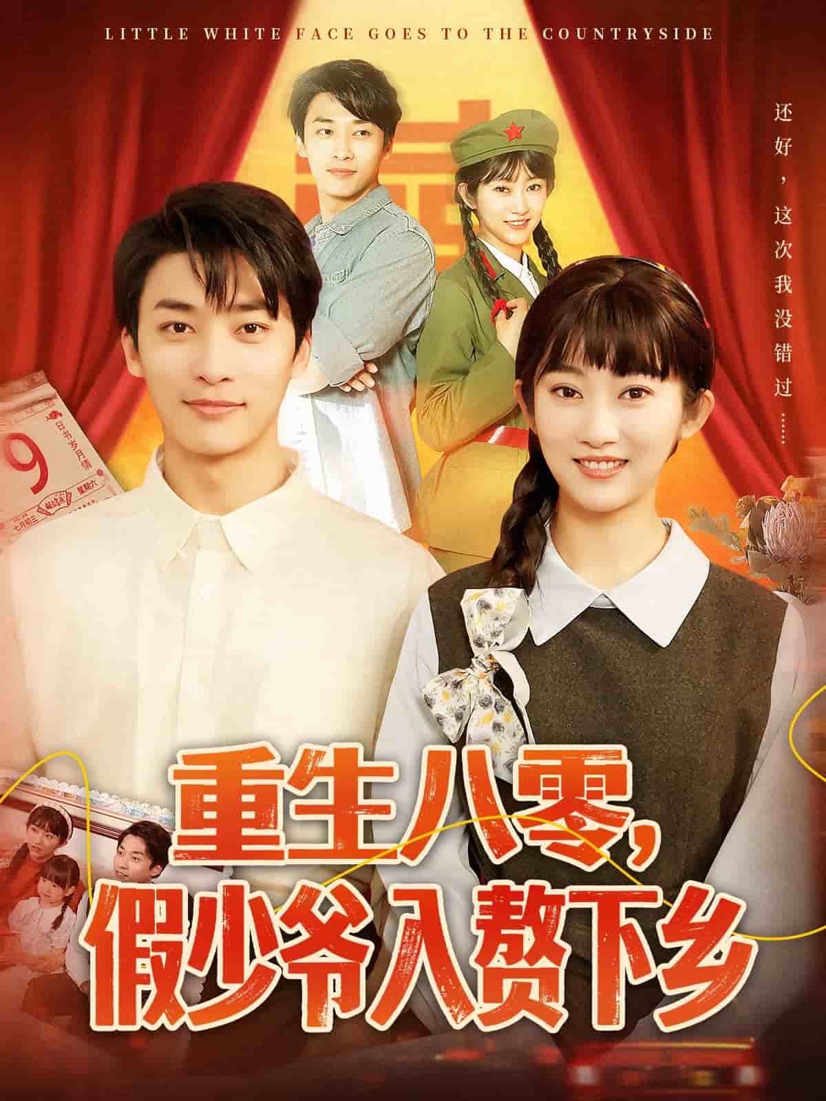 重生八零，假少爷入赘下乡全集