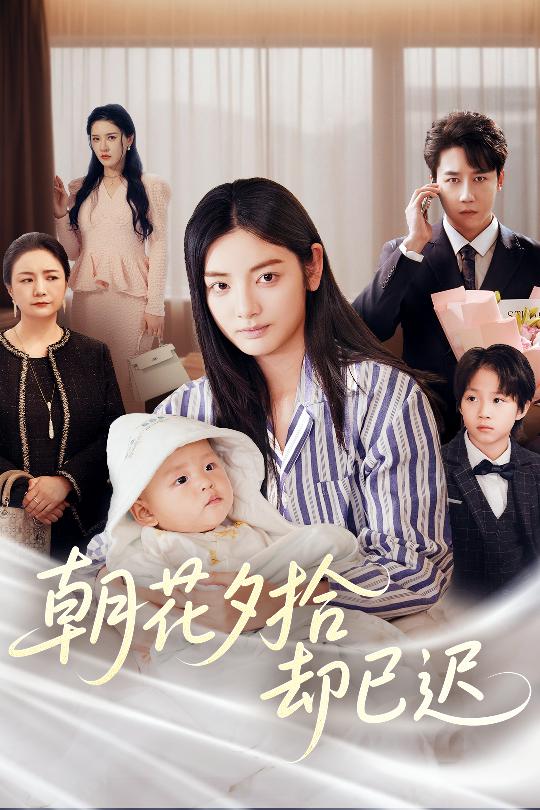 朝花夕拾却已迟全集