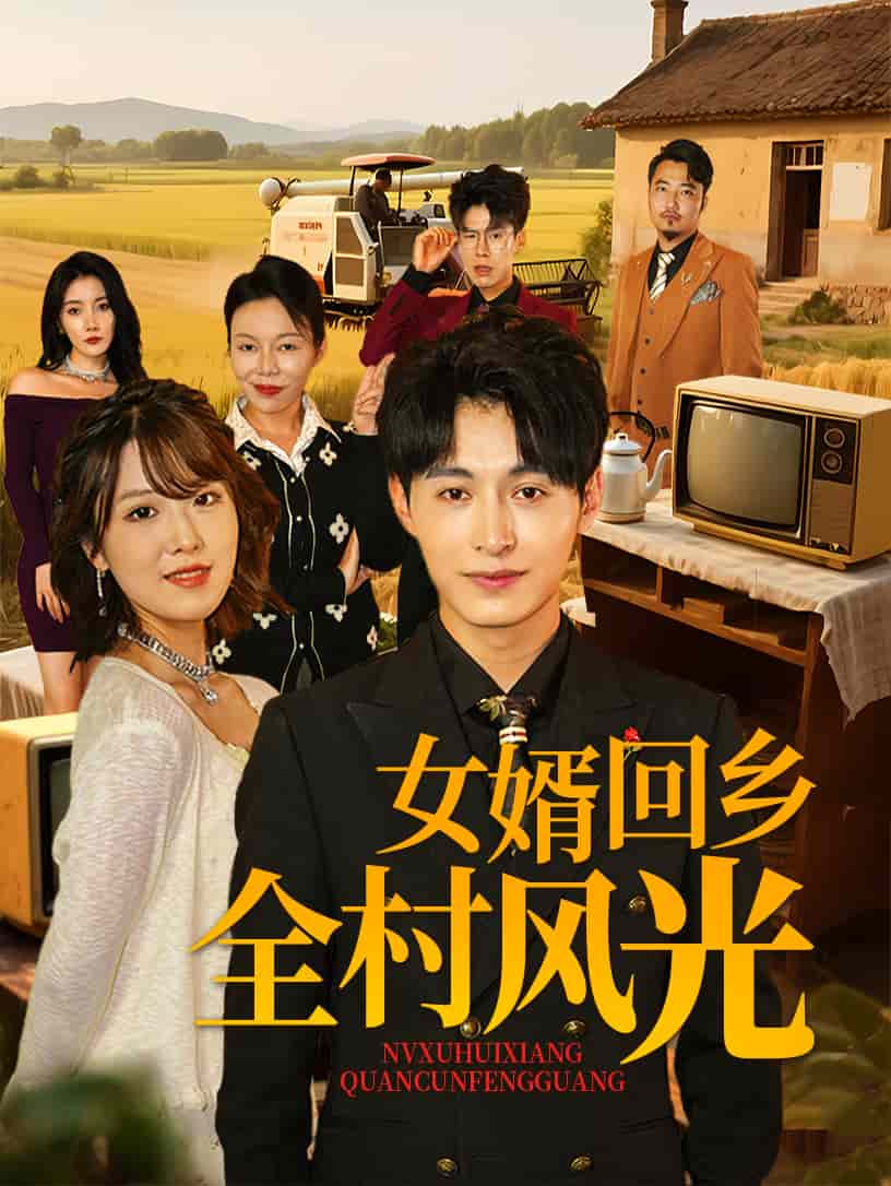 女婿回乡全村风光全集