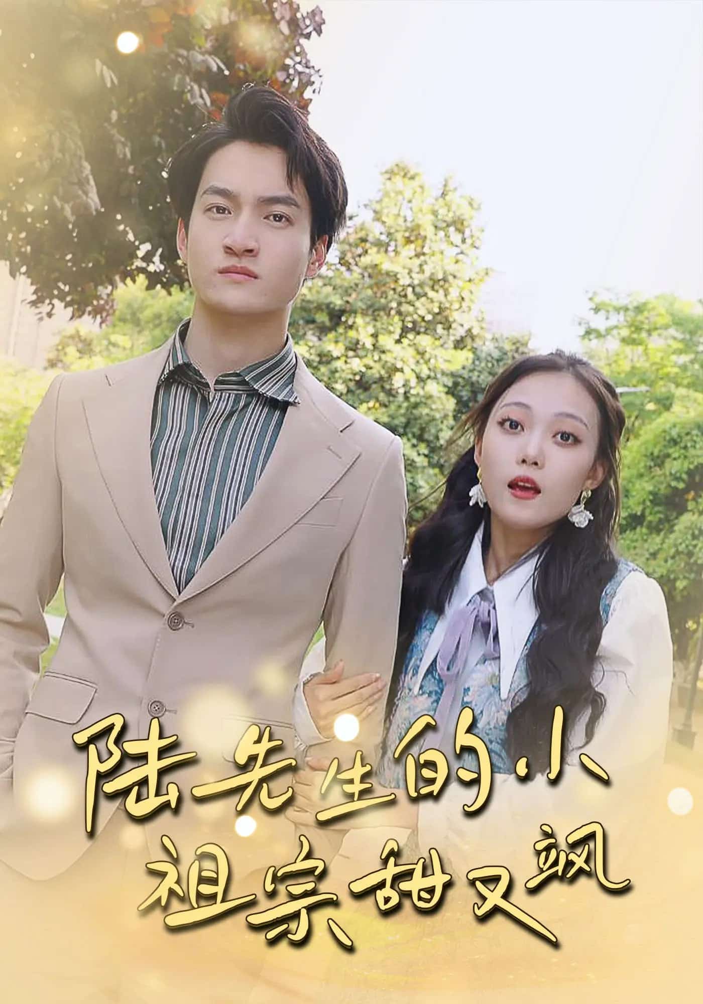 陆先生的小祖宗甜又飒全集