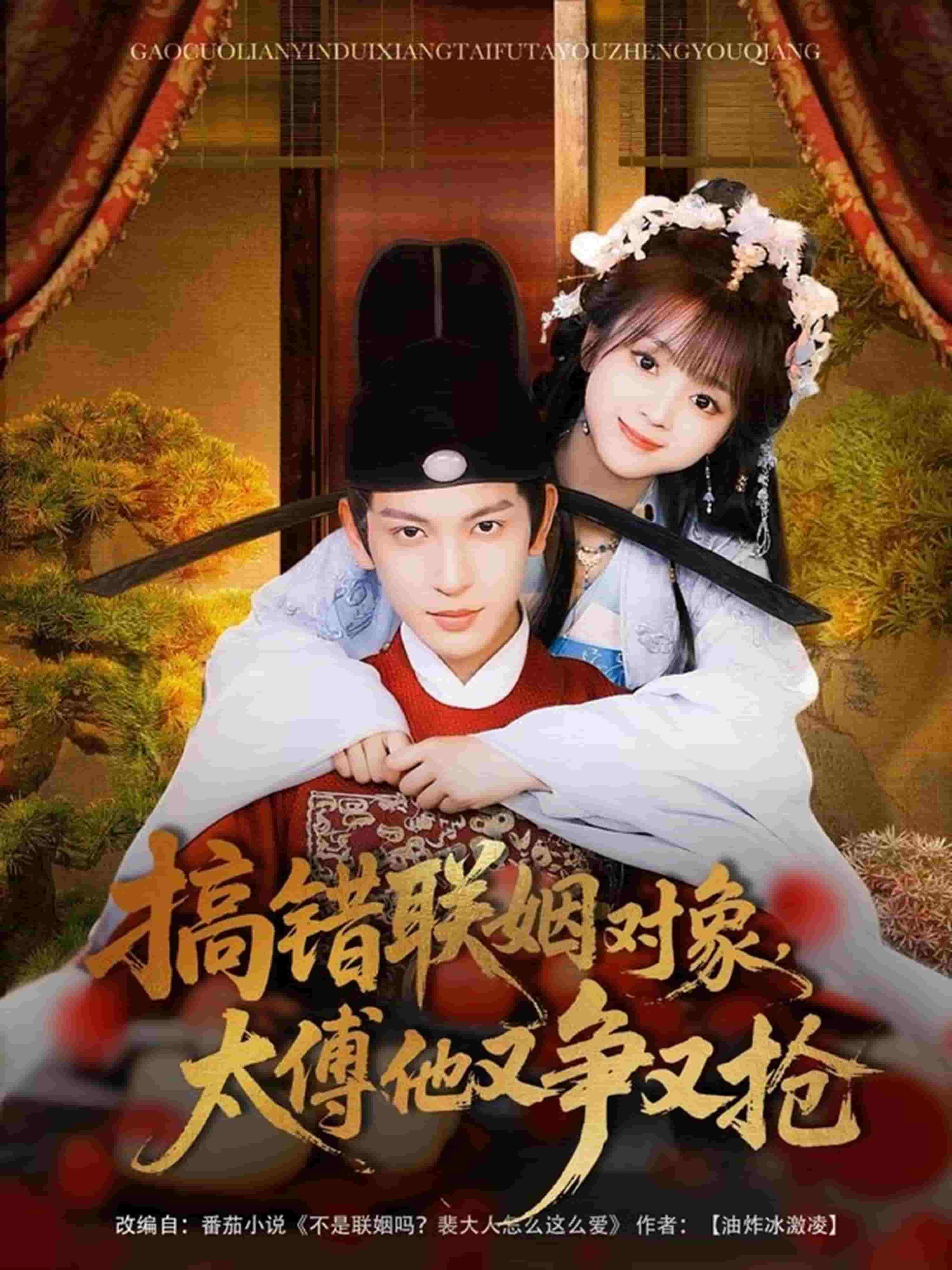 搞错联姻对象，太傅他又争又抢全集