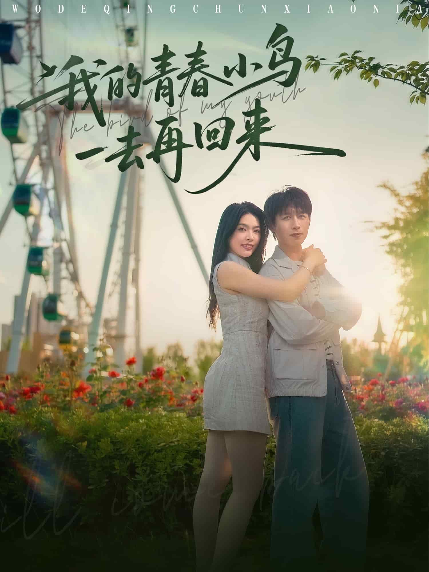 我的青春小鸟一去再回来全集