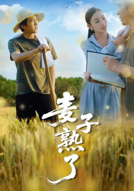 麦子熟了全集
