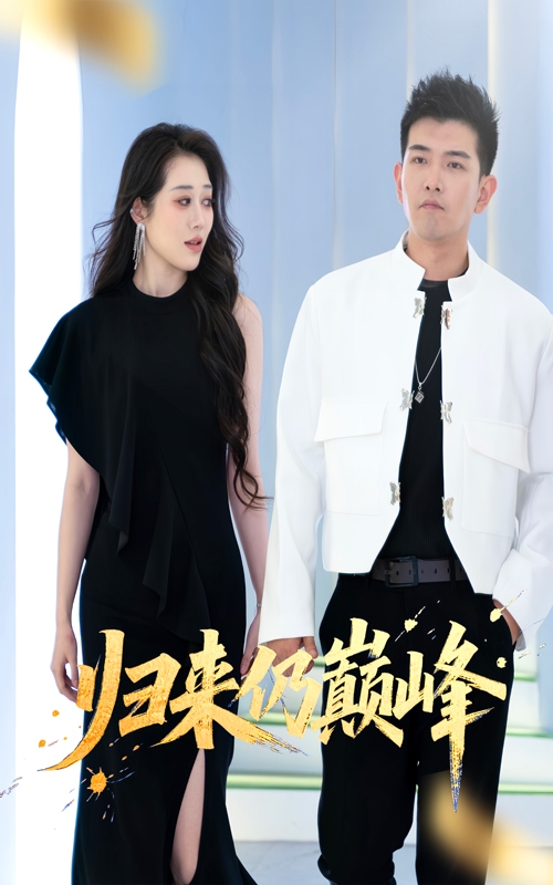 归来仍巅峰全集