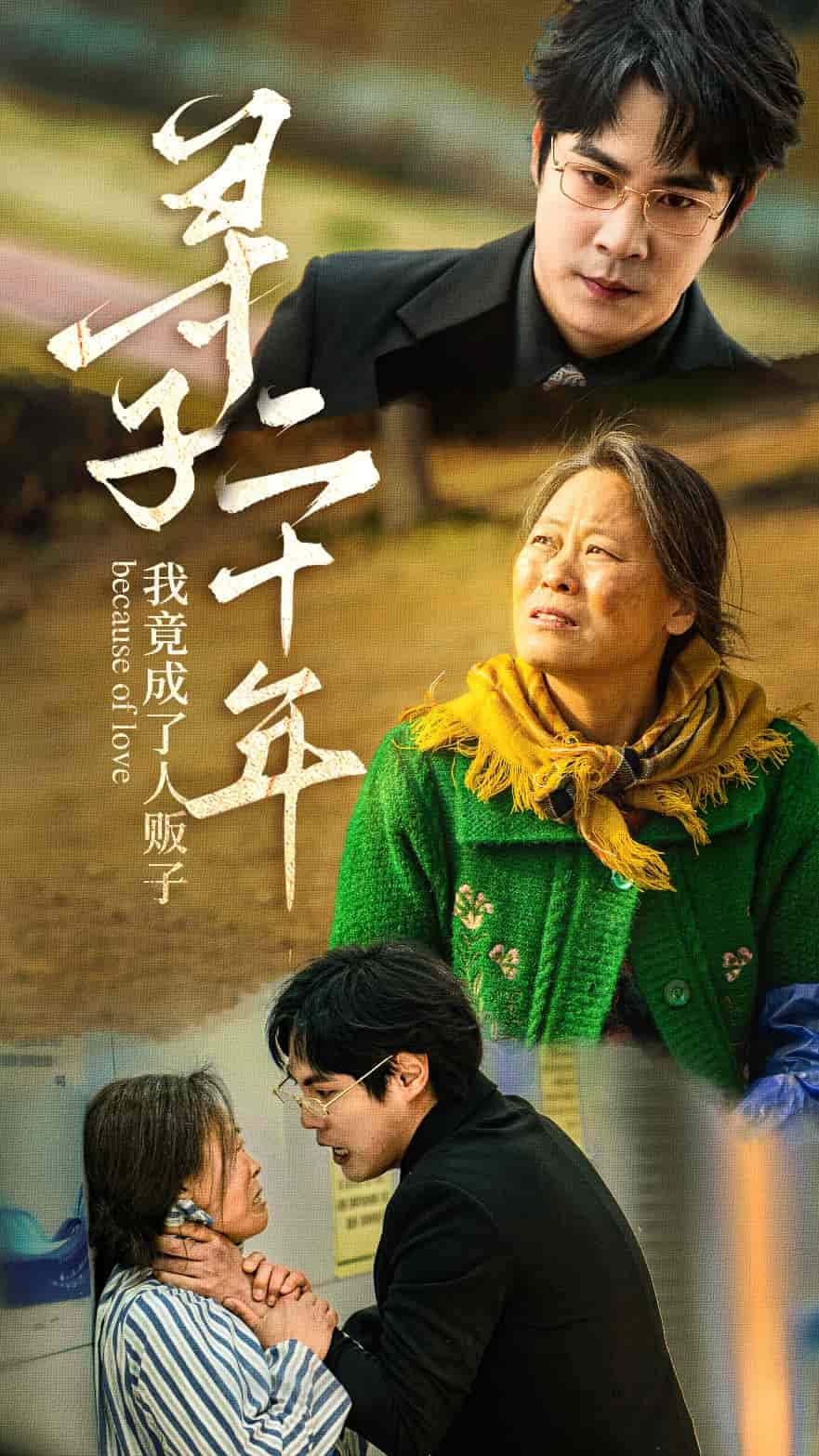 寻子二十年我竟成了人贩子全集