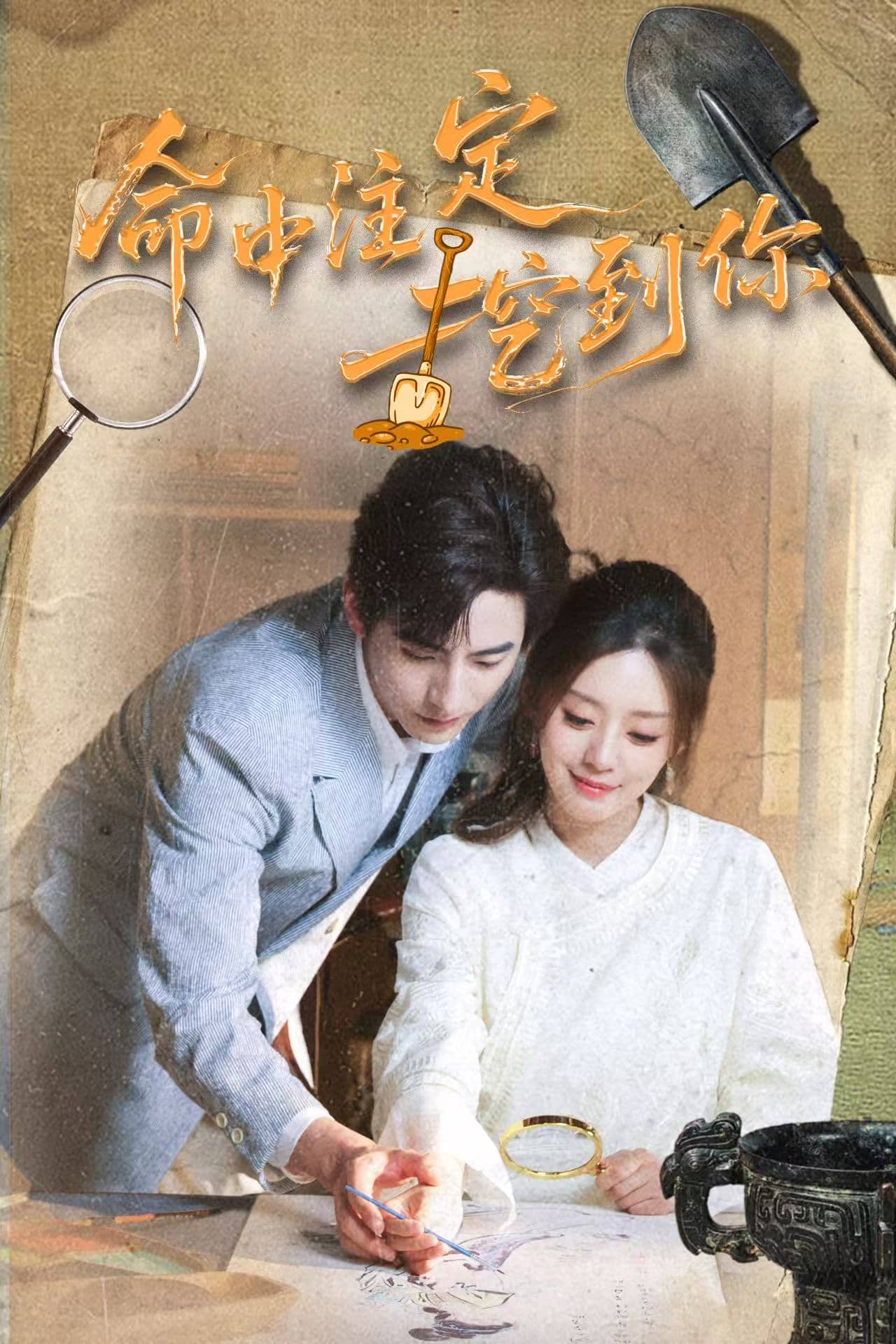 命中注定挖到你全集