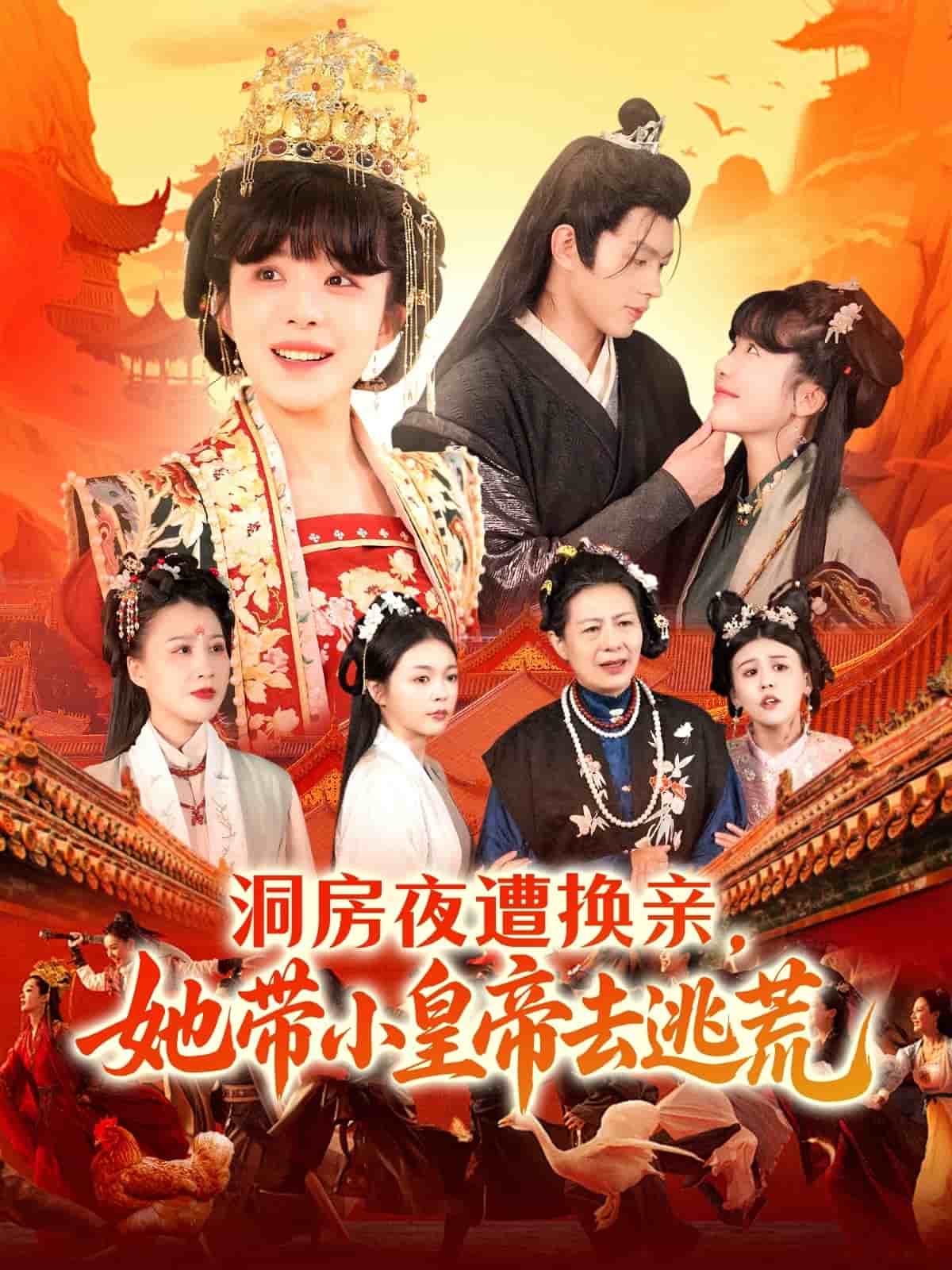 洞房夜遭换亲，她带小皇帝去逃荒全集