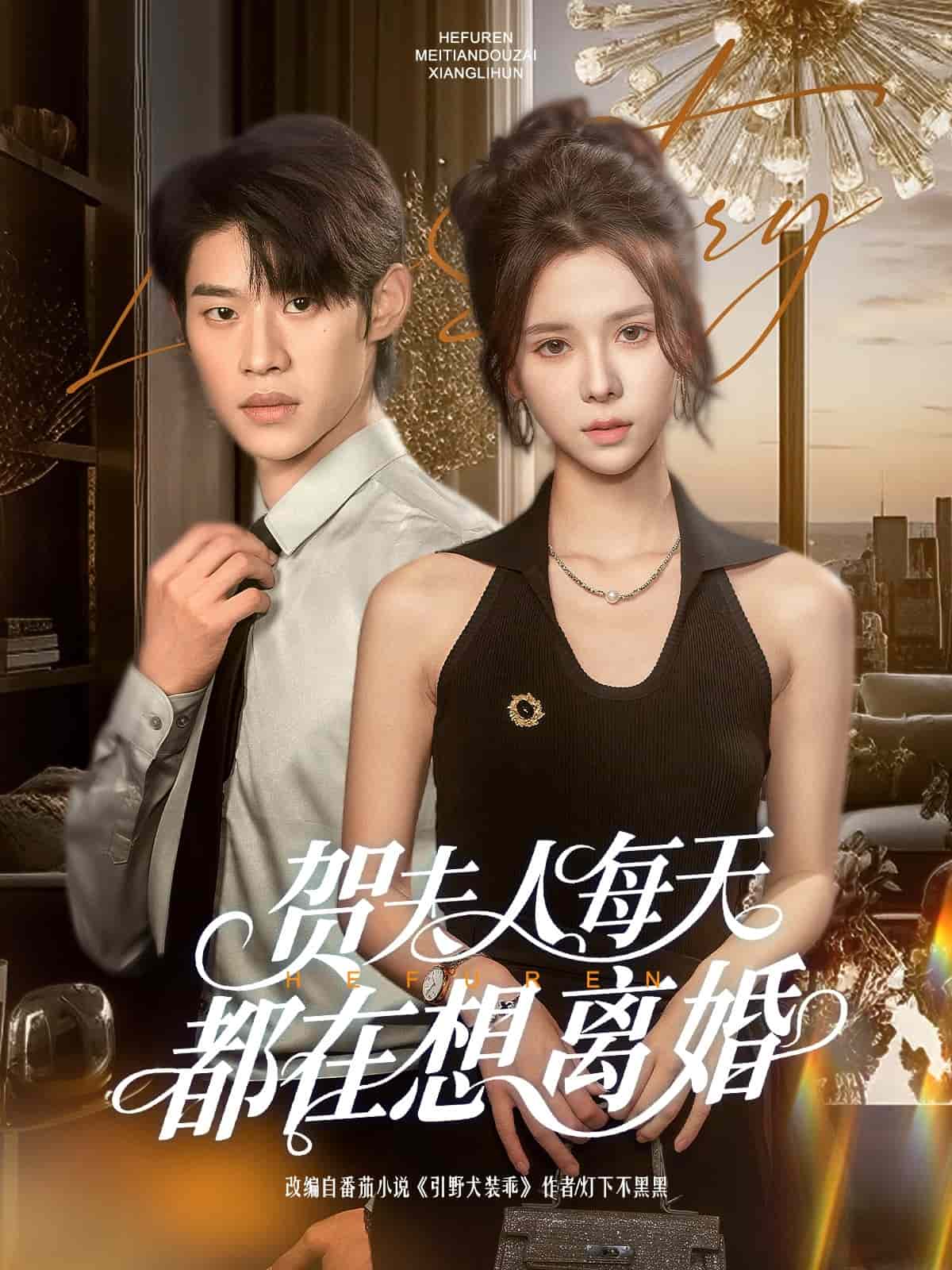 贺夫人每天都在想离婚全集