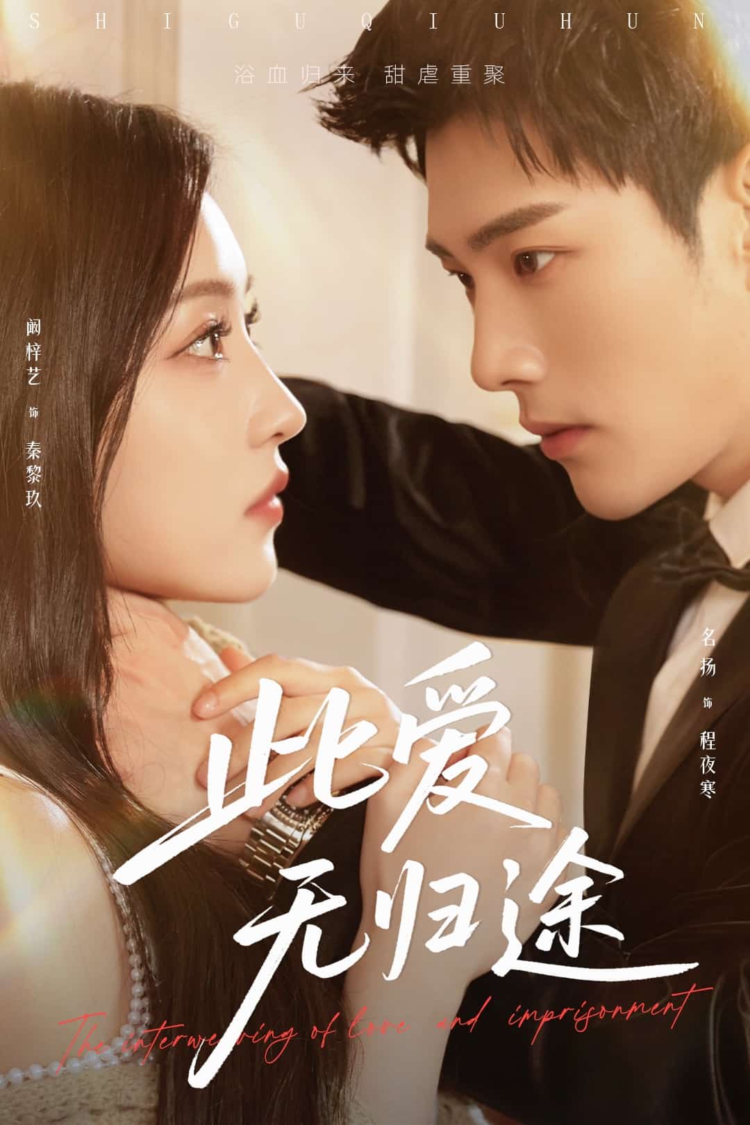 此爱无归途全集