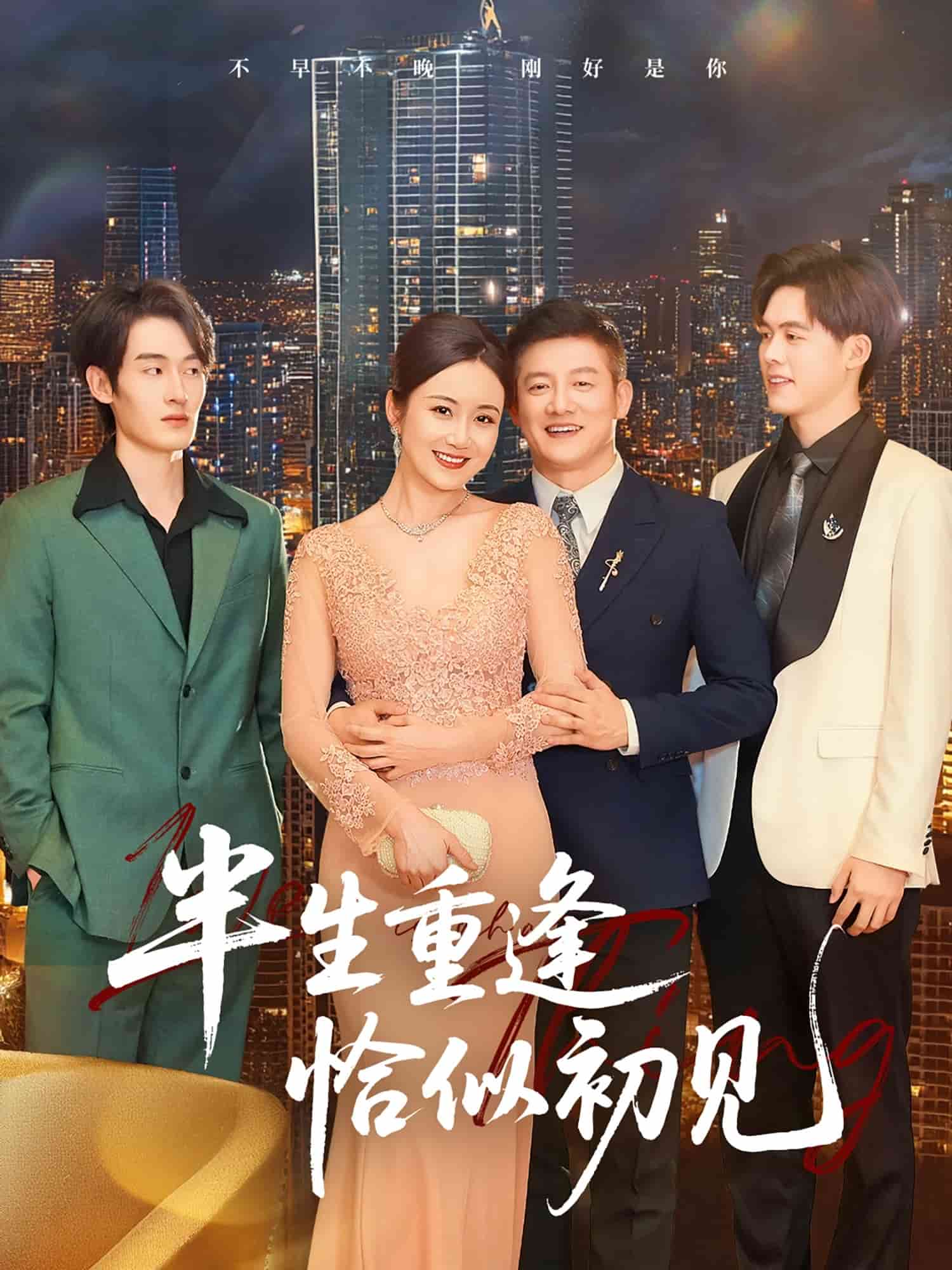 半生重逢恰似初见全集