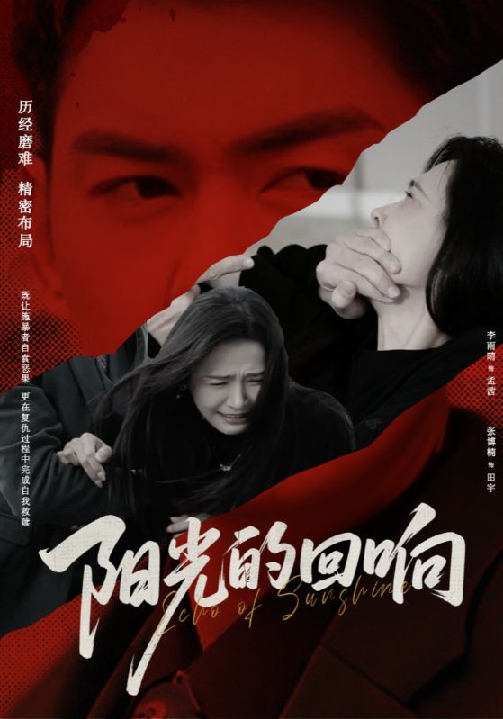 阳光的回响全集