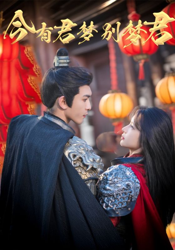 今有君梦别梦君全集