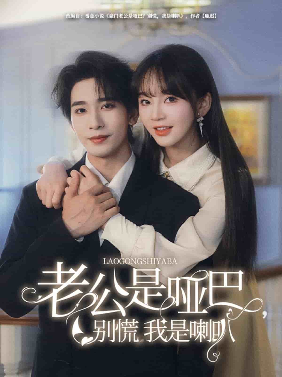 老公是哑巴，别慌我是喇叭全集