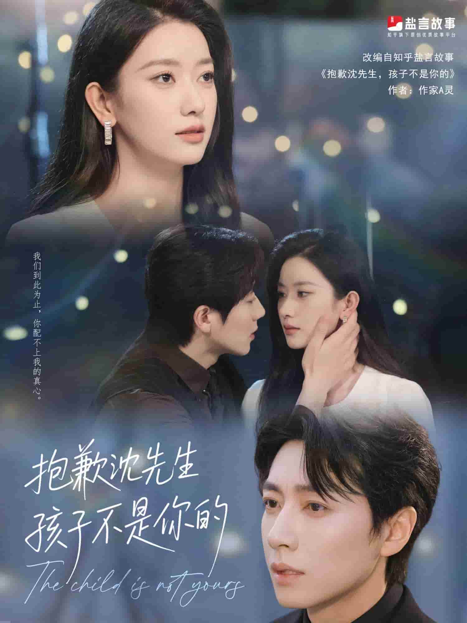 抱歉沈先生孩子不是你的全集