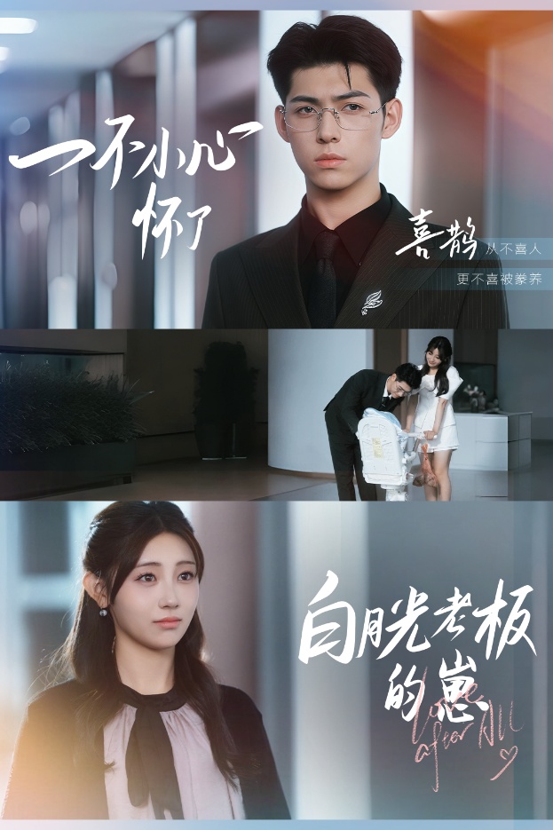 一不小心怀了白月光老板的崽全集