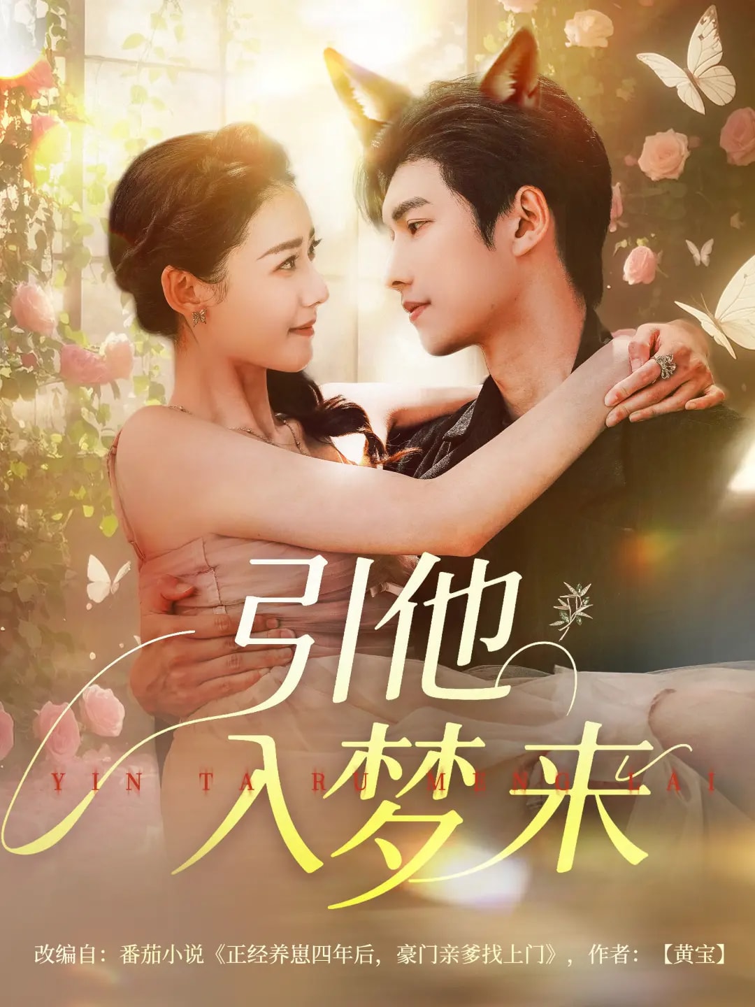 引他入梦来全集