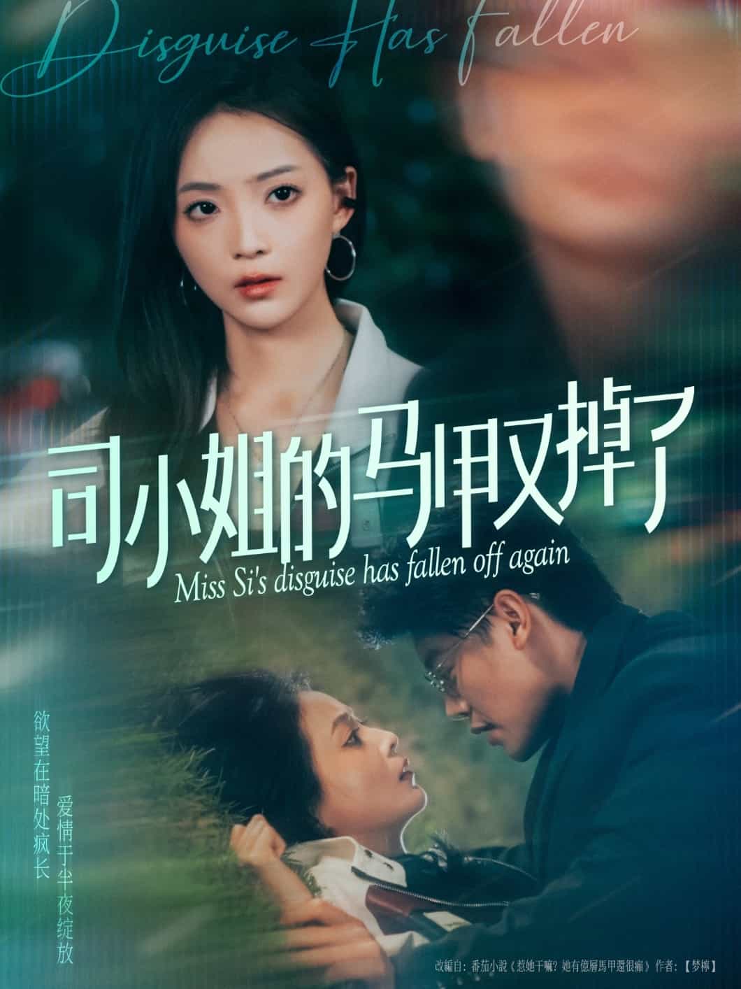 司小姐的马甲又掉了全集