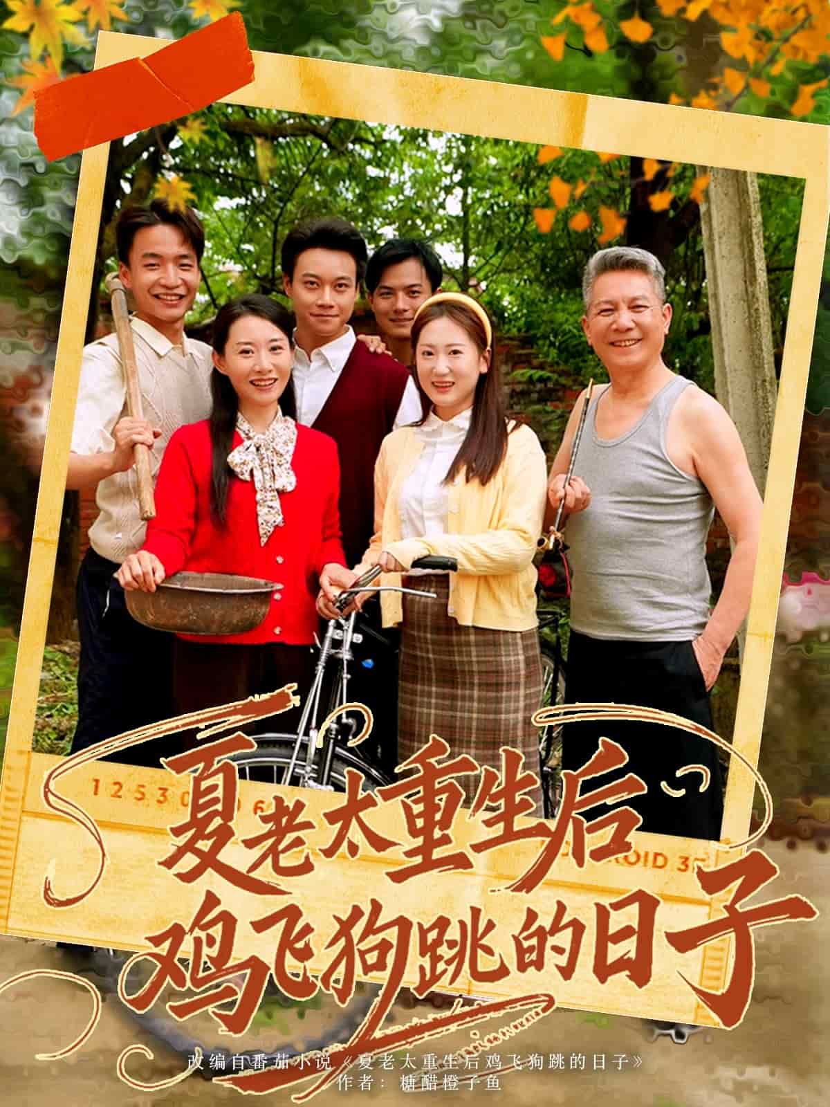 夏老太重生后鸡飞狗跳的日子全集