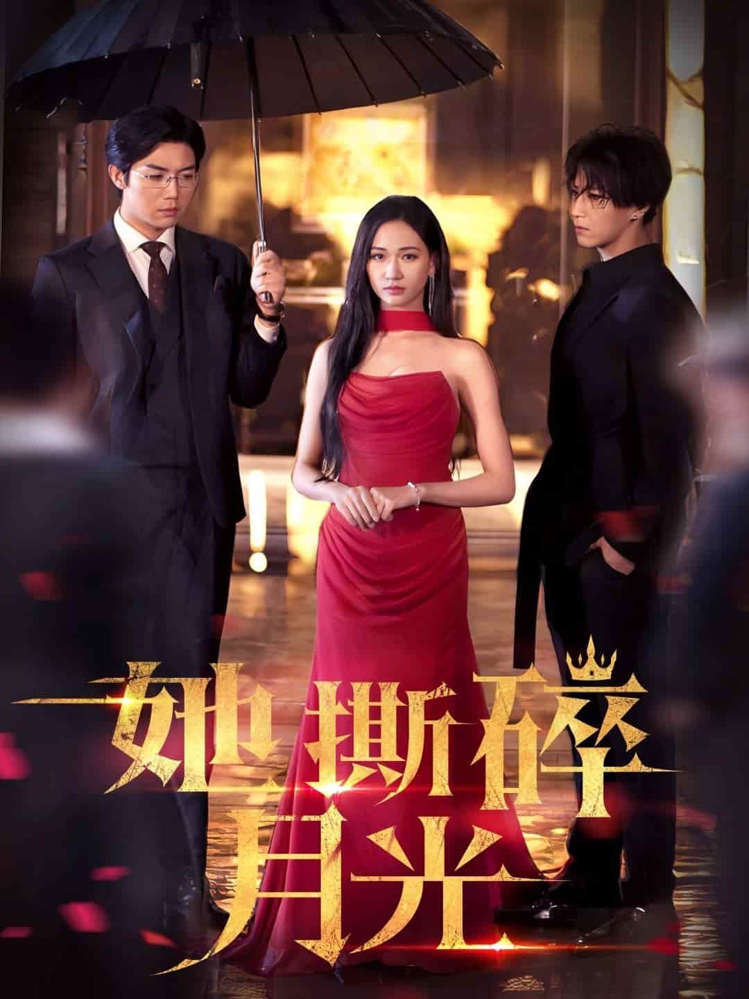 她撕碎月光全集