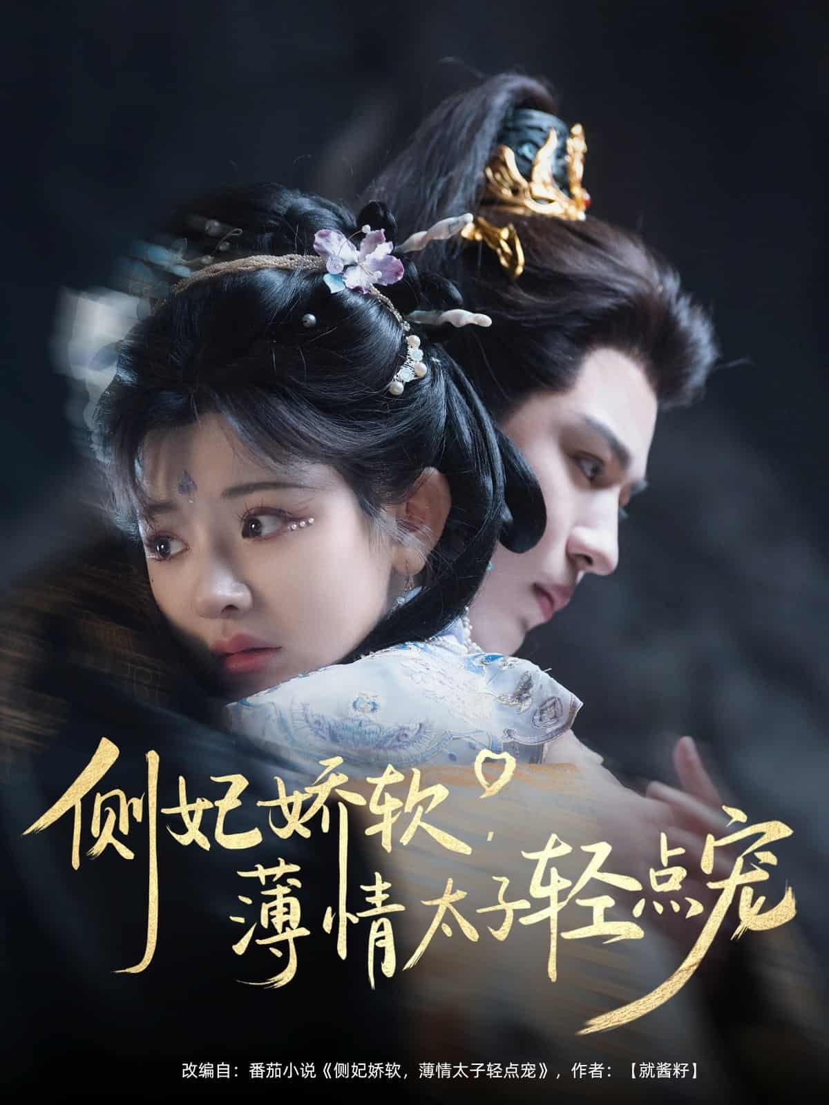 侧妃娇软薄情太子轻点宠全集