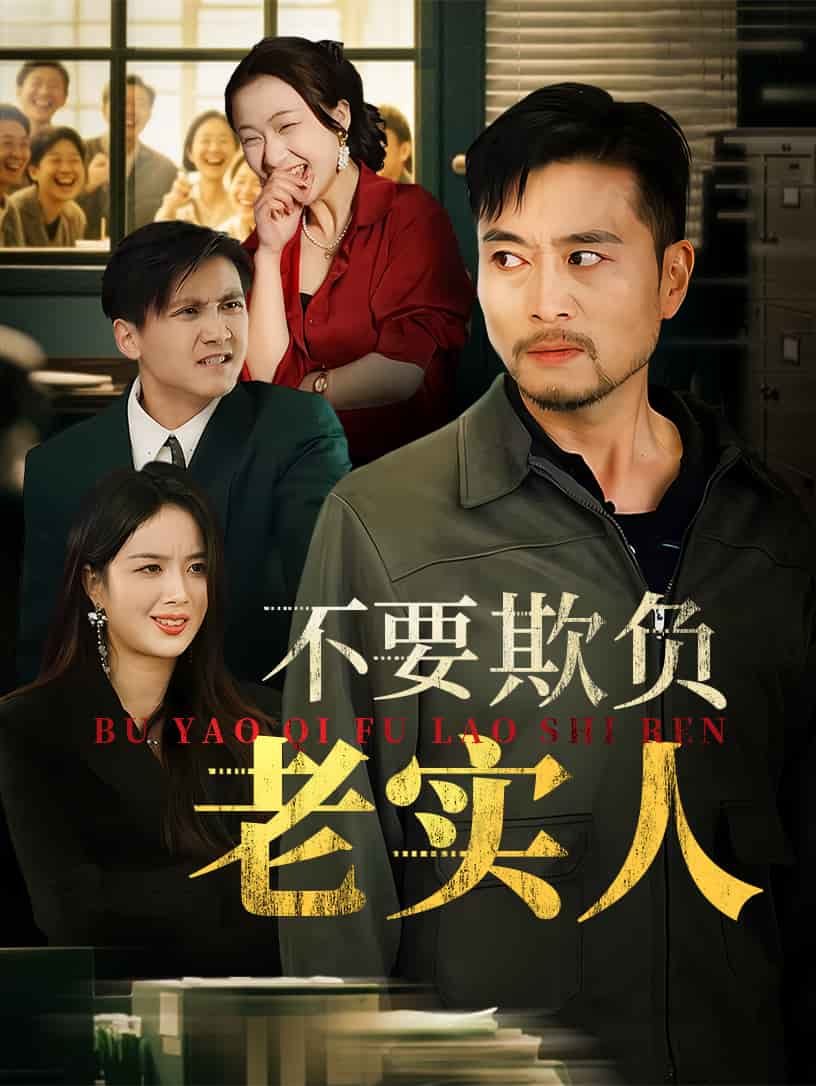 不要欺负老实人全集