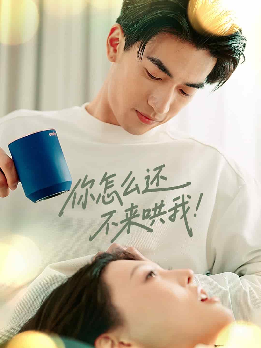 你怎么还不来哄我全集