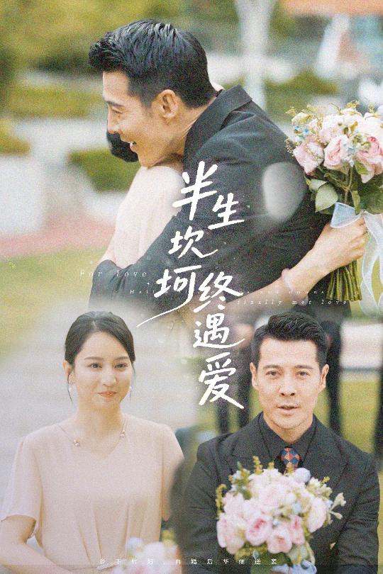 半生坎坷终遇爱全集