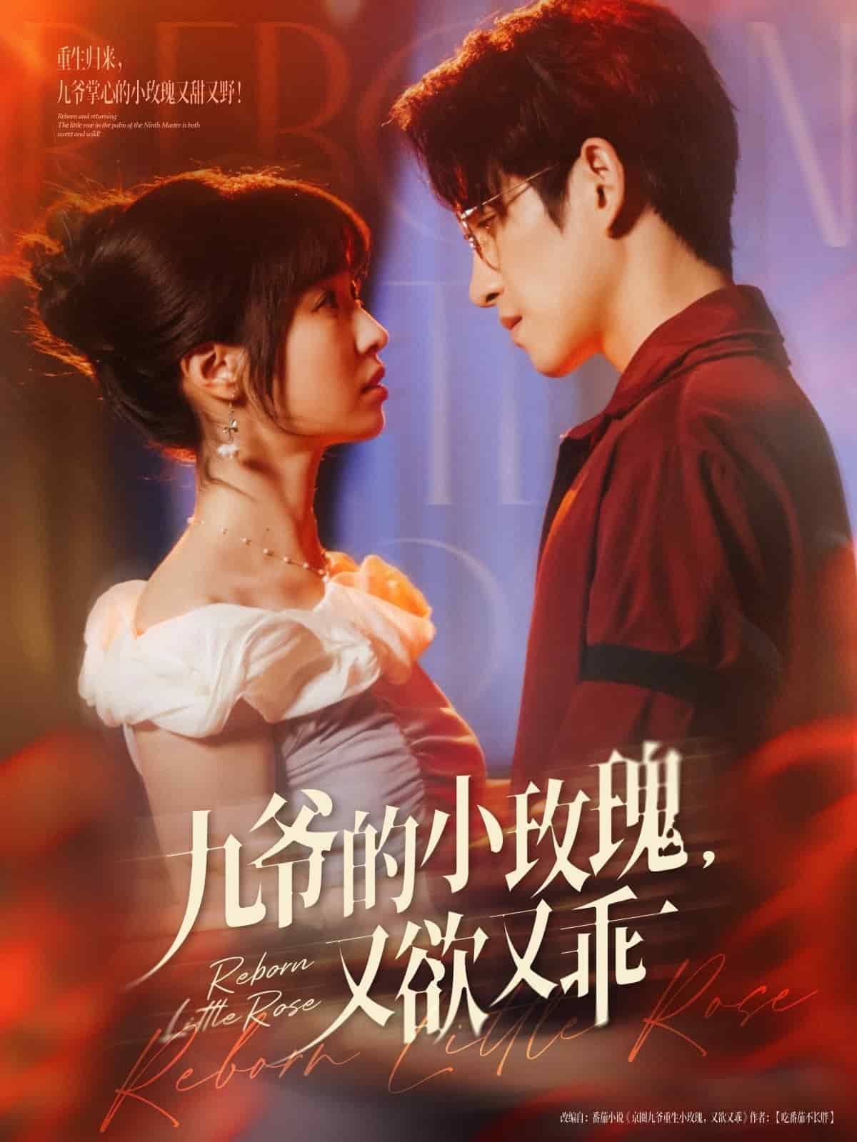 九爷的小玫瑰又欲又乖全集