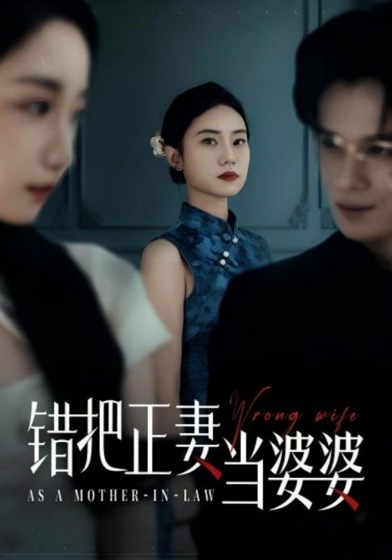 错把正妻当婆婆全集