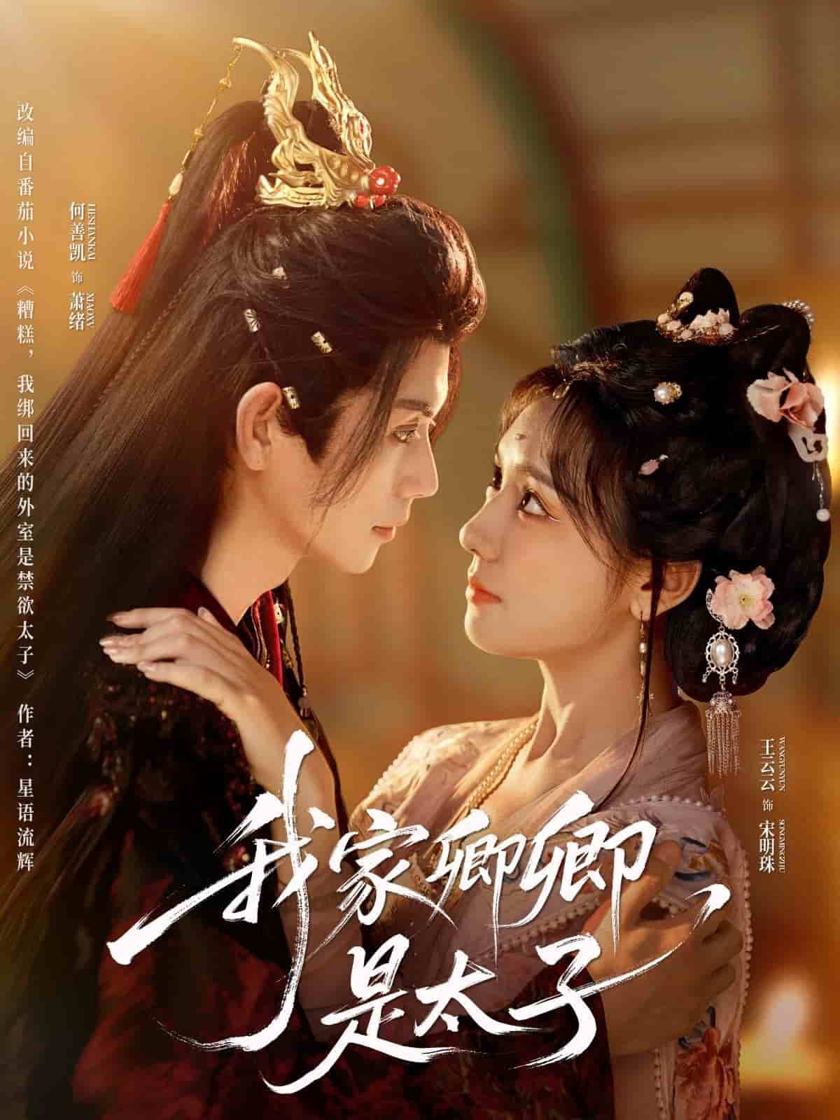 我家卿卿是太子全集