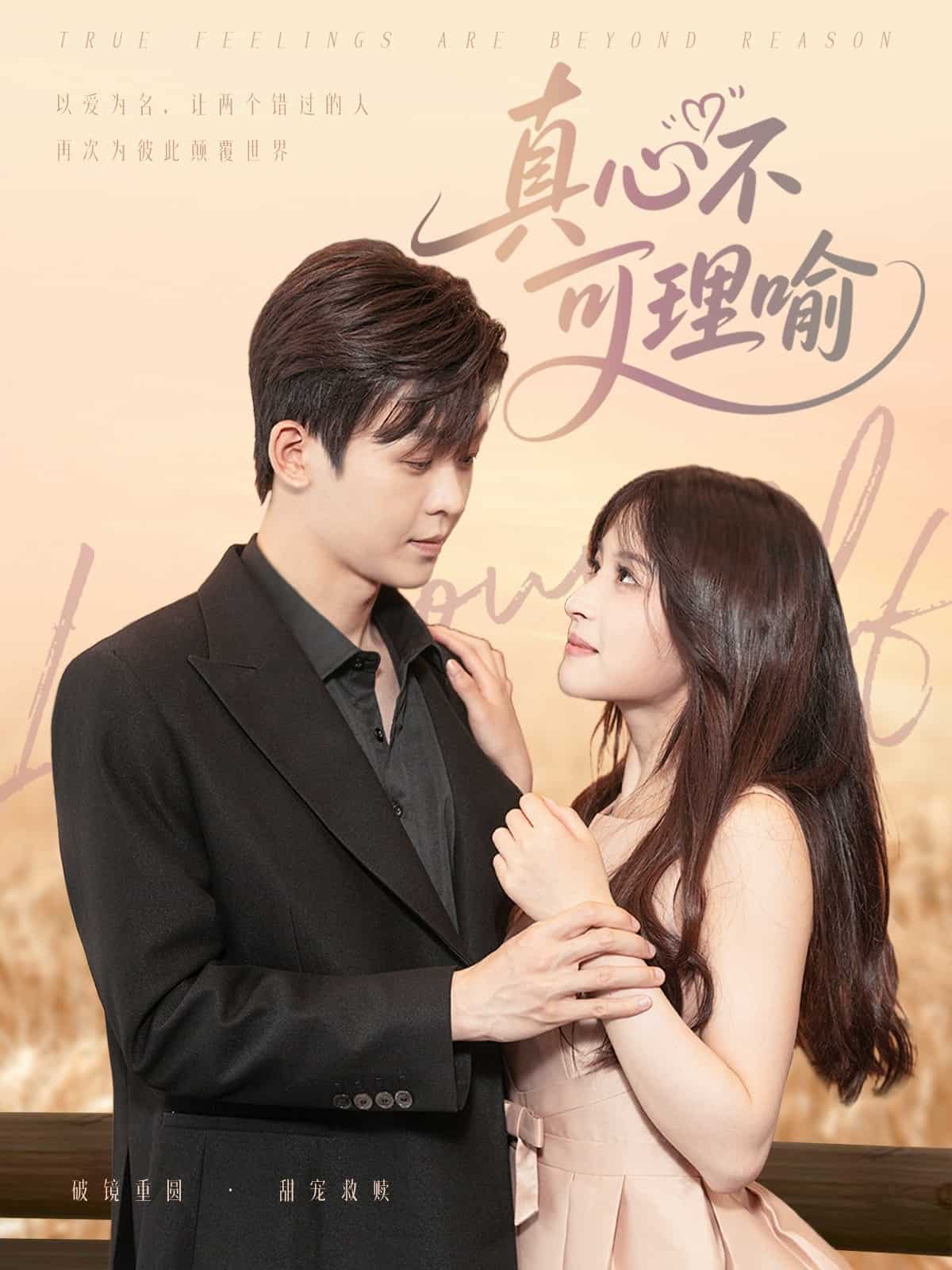 真心不可理喻全集