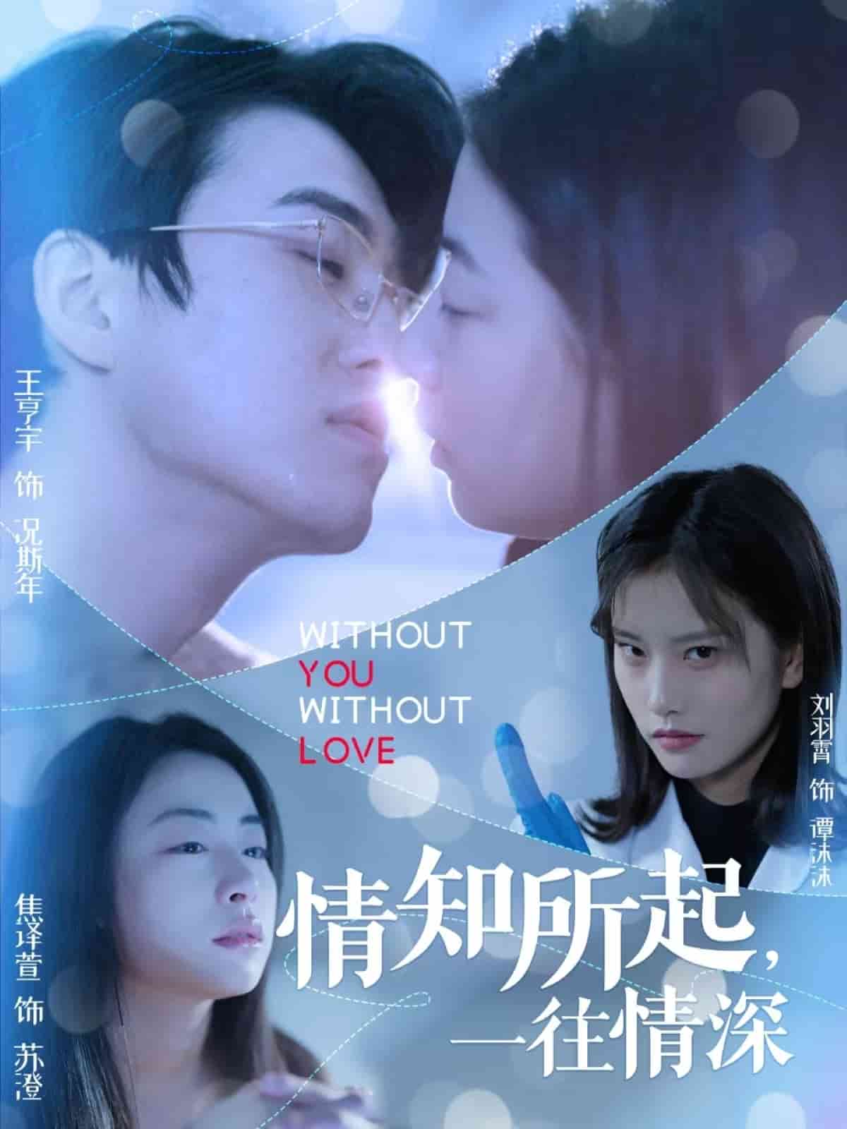 情知所起一往情深全集