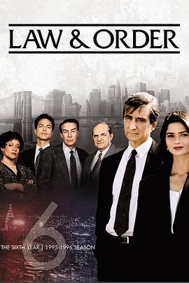 法律与秩序第六季全集