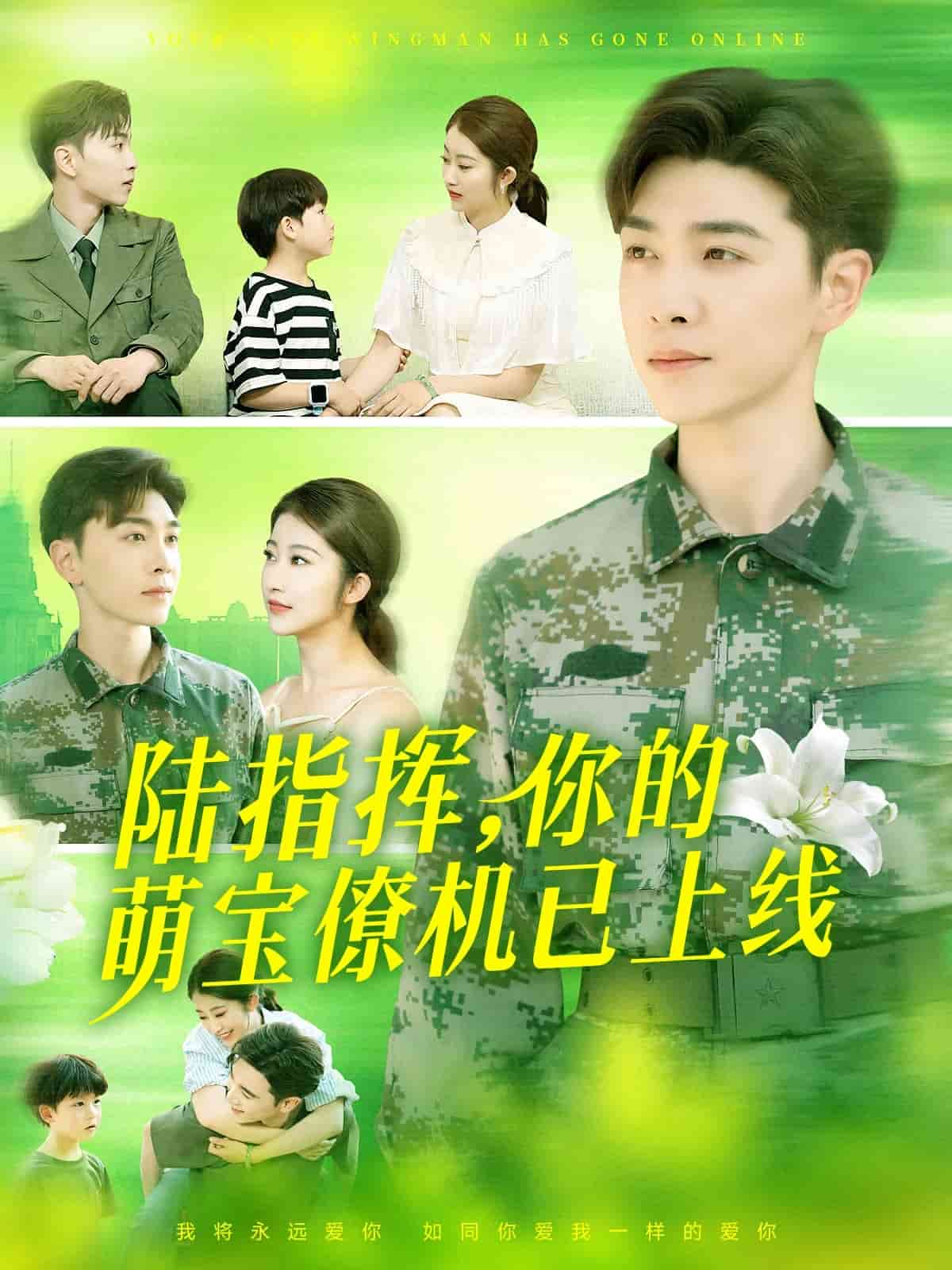 陆总你的萌宝已上线全集