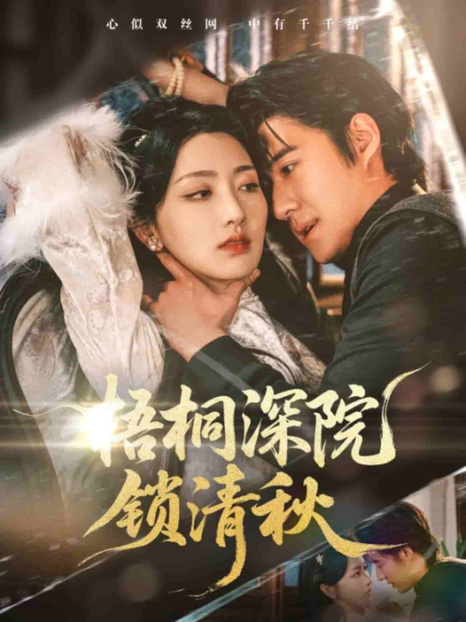 梧桐深院锁清秋全集