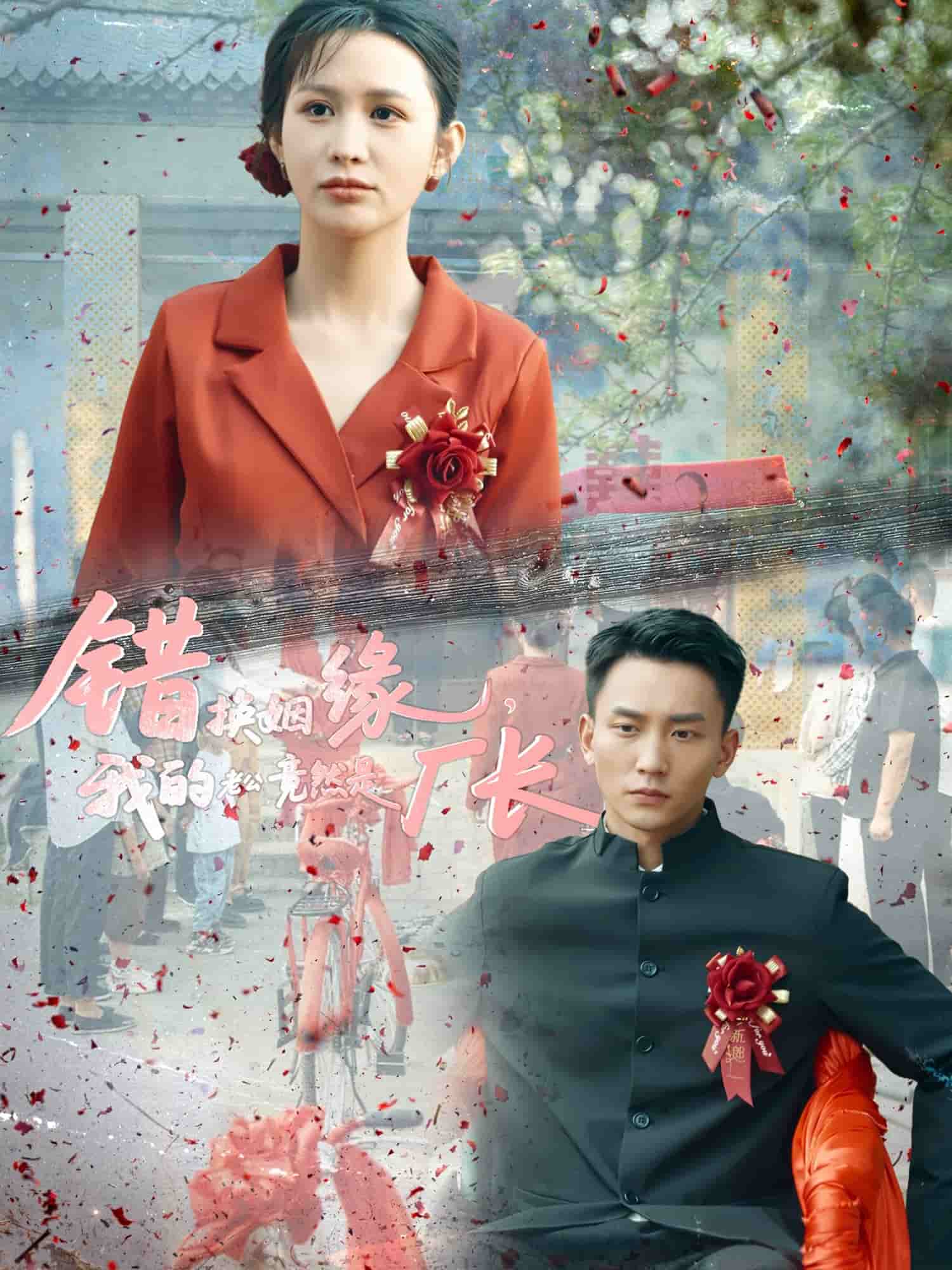 错换姻缘，我的老公竟然是厂长全集