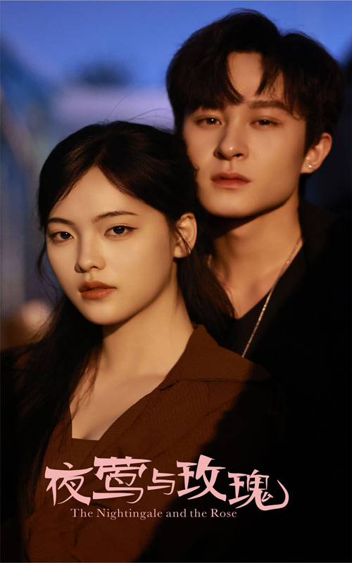 夜莺与玫瑰全集